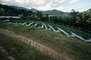 BIB: 
                            <button type="button" onclick="openModal(22790761)" class="btn btn-primary btn-sm float-right btn-popup" data-toggle="modal" data-target=".modal-high-quality">
                        <i class="fas fa-shopping-cart"></i> Add to Cart
                    </button>
                                            <button type="button" onclick="isThisMe(22790761, true)" class="btn btn-success btn-sm float-right btn-popup btn-isme hidden" data-toggle="tooltip" data-placement="bottom" title="นี่คือรูปของคุณใช่ไหม คลิกที่นี่เพื่อเอาเข้าอัลบั้ม">
                        <i class="fas fa-plus"></i> Add to album
                    </button>
                    <button type="button" onclick="isThisMe(22790761, false)" class="btn btn-warning btn-sm float-right btn-popup btn-isnotme hidden">
                        <i class="fas fa-ban"></i> Remove from album
                    </button>